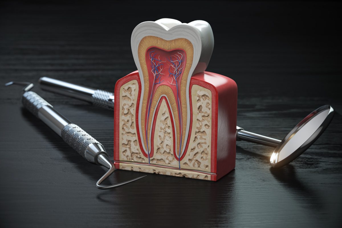 Endodontia